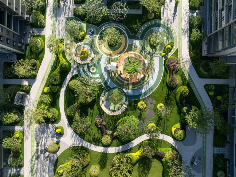 Modern garden with stepping stones