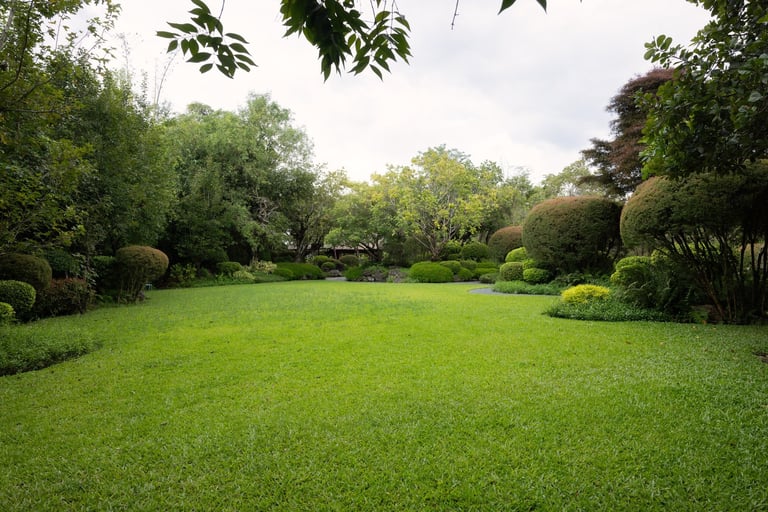 Beautiful landscaped garden with green lawn